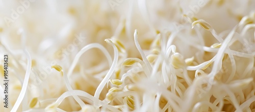 Close up of fresh raw beans...
