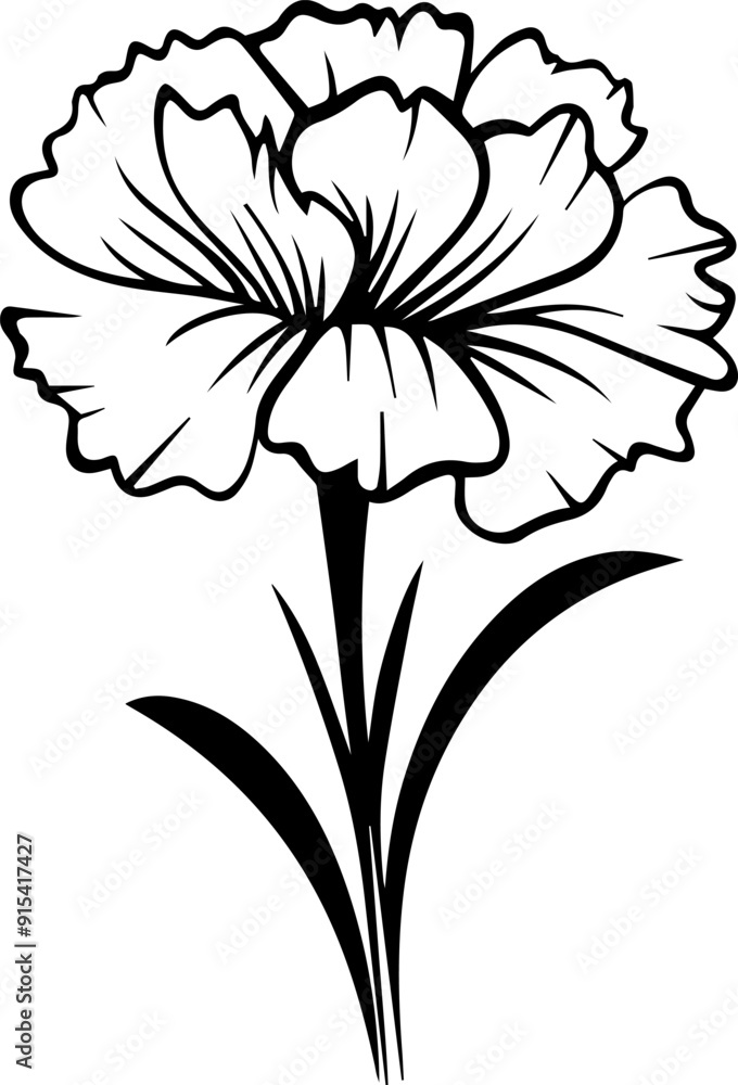 carnation flower Vector Illustration carnation flower Vector Illustration