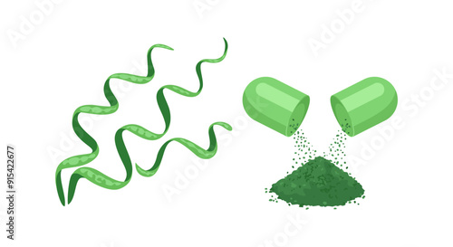 Spirulina. Powdered dietary supplement spilling out of open capsule. Vector cartoon flat illustration.