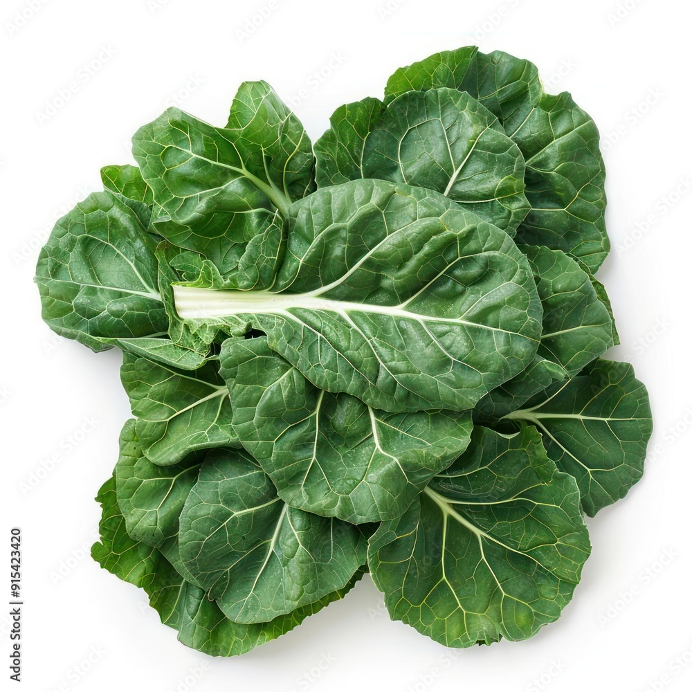 A close-up view of fresh leafy greens, likely spinach or kale. A close-up view of fresh leafy greens, likely spinach or kale.