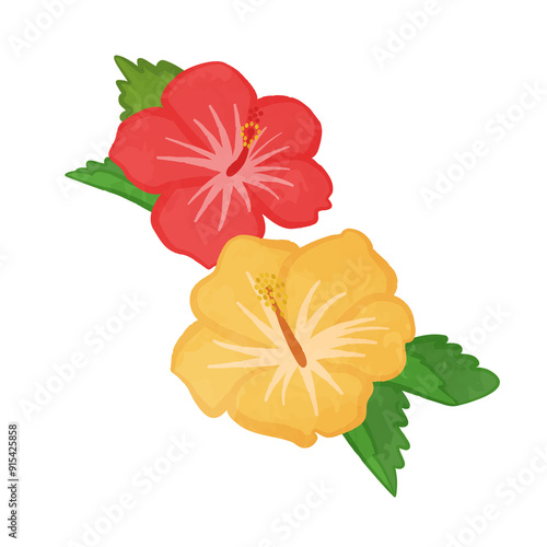 Cute two-colored hibiscus flower illustration
