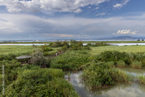 Obraz na płótnie regional nature reserve of the mouth of the Isonzo river ,Friuli Venezia Giulia, Italy w salonie
