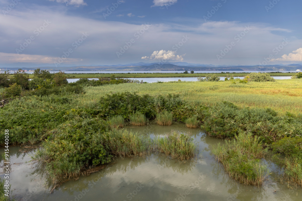 regional nature reserve of the mouth of the Isonzo river ,Friuli Venezia Giulia, Italy