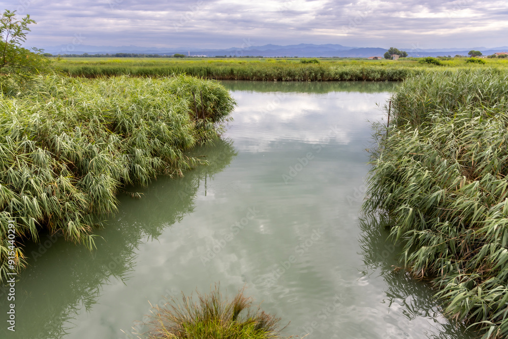 regional nature reserve of the mouth of the Isonzo river ,Friuli Venezia Giulia, Italy