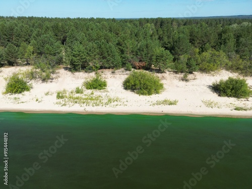 Wallpaper Mural Scenery. Wild river bank. Blue sky, white sand, green forest. Torontodigital.ca