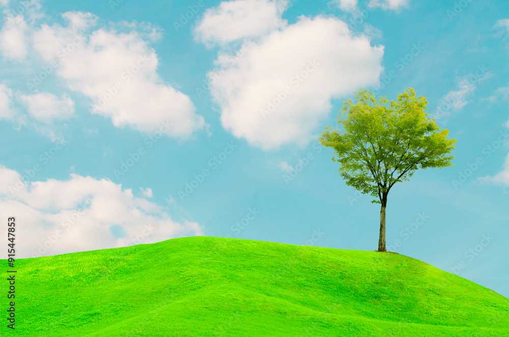 A view of beautiful green field with a tree and fresh grass on a sunny day A view of beautiful green field with a tree and fresh grass on a sunny day
