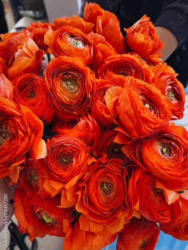 Beautiful red ranunculus flowers freshly delivered to a flower shop  photo