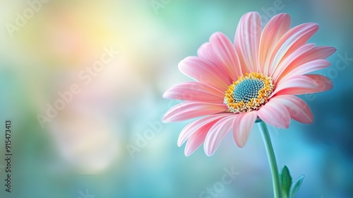 Close-up of a vibrant flower in full bloom, with soft background blur, highlighting its delicate beauty