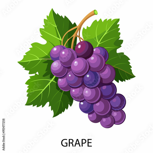 Grape in cartoon style on a white background. Vector illustration.