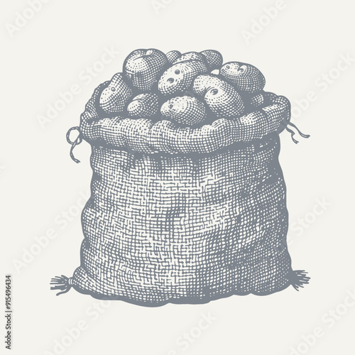 Burlap Sack Full of Potatoes. Vintage Engraving. Vintage woodcut engraving style vector illustration.