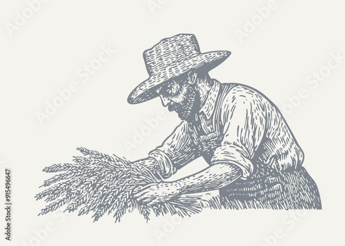 Man Collecting Wheat. Vintage woodcut engraving style vector illustration.