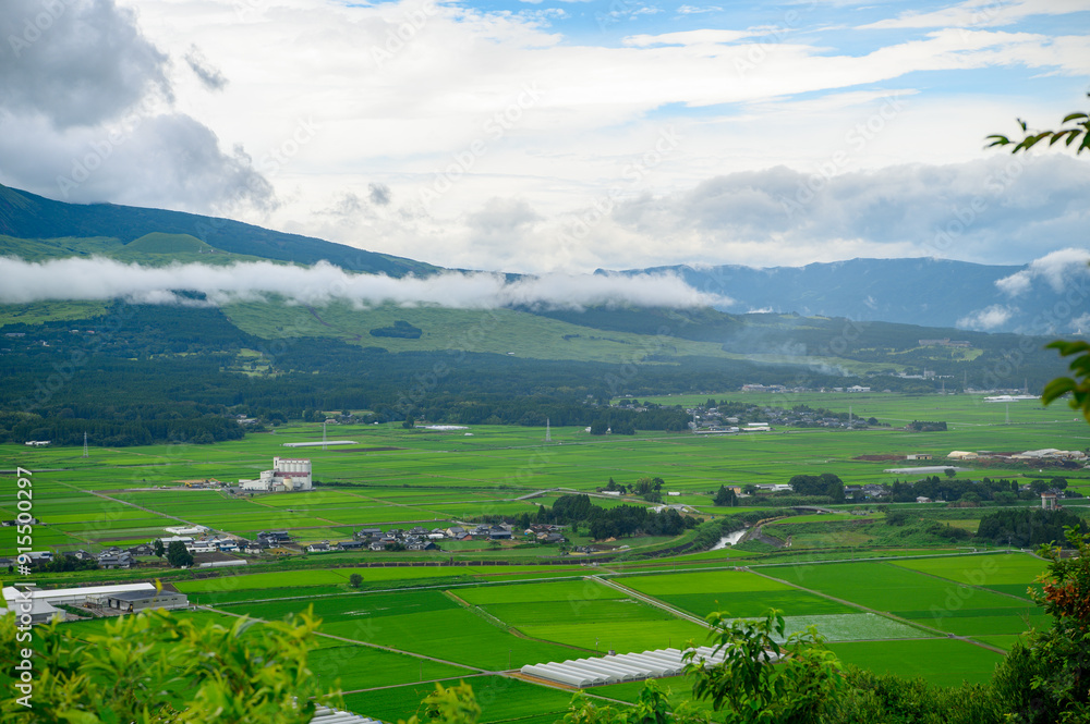田子山展望所からの景色 田子山展望所からの景色