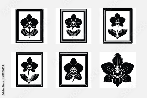 Minimal orchid silhouette art set on white background floral collection
