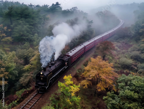 A steam train is traveling through a forest with smoke coming out of the engine. The train is surrounded by trees and the sky is cloudy photo