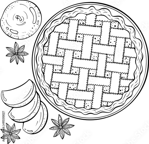 Round traditional apple pie top view. Autumn composition with apples and star anise spice. Vector illustration in hand drawn sketch doodle style. Line art isolated on white for coloring book, print