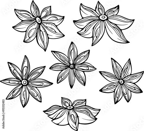 Set of star anise aroma seasoning. Badian Asian spicy condiment. Vector illustration in hand drawn sketch doodle style. Line art isolated on white for coloring book, print