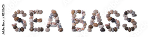 The word "SEA BASS" is lined with shells and stones of different shapes and colors on a transparent background. Types of fish and seafood, price tag, sea food, fish market, sea alphabet.