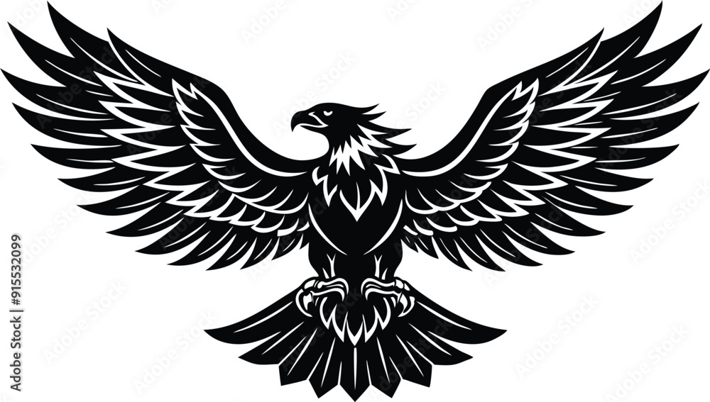 Obraz premium eagle with wings