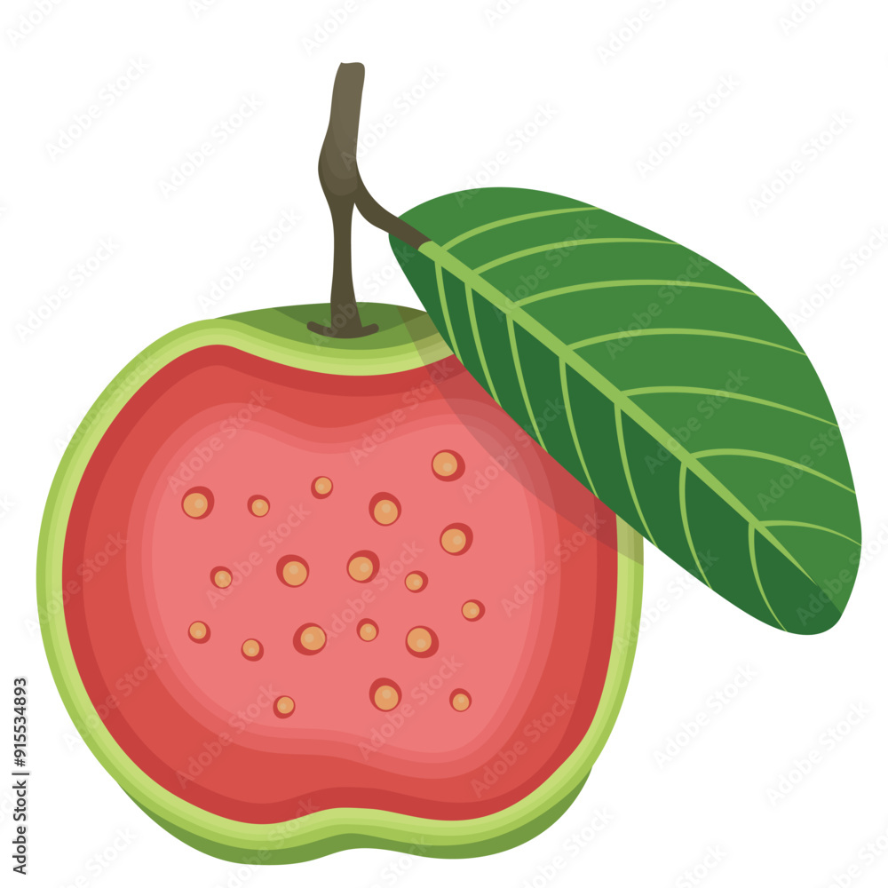 Red Guava Fruits Sliced Illustration Isolated on White Background Red Guava Fruits Sliced Illustration Isolated on White Background