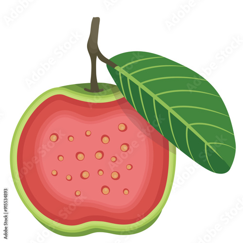 Red Guava Fruits Sliced Illustration Isolated on White Background photo