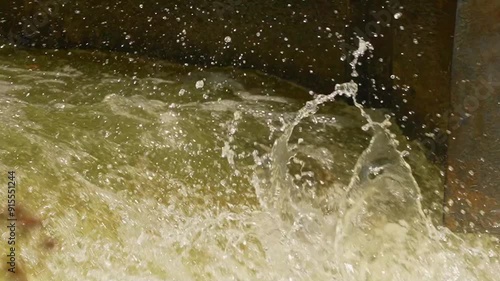 Wallpaper Mural Salmon spawning, adult salmon return to their natal freshwater habitats to lay their eggs. Fish swim upstream against strong currents waterfalls. Ganaraska River, Corbett's Dam, Port Hope, Ontario. Torontodigital.ca