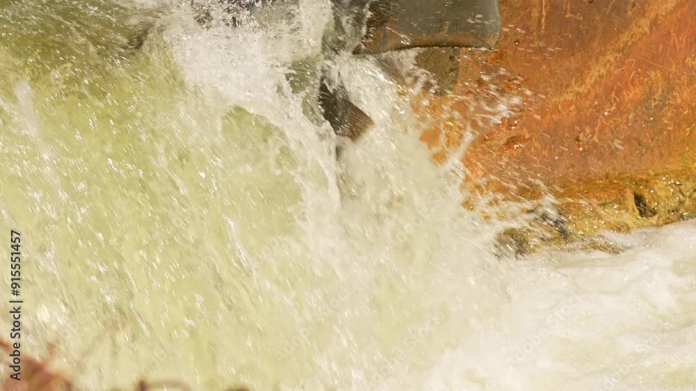 Slow motion of Chinook salmon migrating up the Ganaraska water river upstream for spawning place. Waterfall with planty of salmon fish spawn. Corbett's Dam, Port Hope, Ontario, Canada. Slow motion of Chinook salmon migrating up the Ganaraska water river upstream for spawning place. Waterfall with planty of salmon fish spawn. Corbett's Dam, Port Hope, Ontario, Canada.