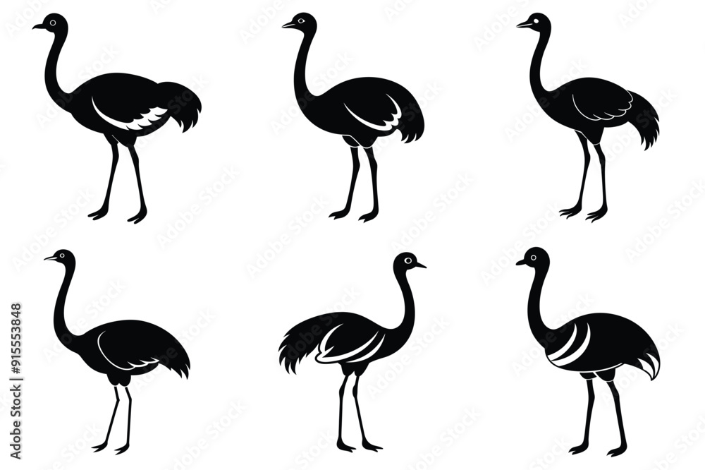 Obraz premium Ostrich silhouette vector illustration