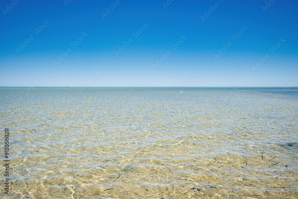 Shallow tropical sea with small waves and a sandy bottom. Clear blue sky. Shark Bay, Denham, Western Australia
Shallow tropical sea with small waves and a sandy bottom. Clear blue sky. Shark Bay, Denham, Western Australia