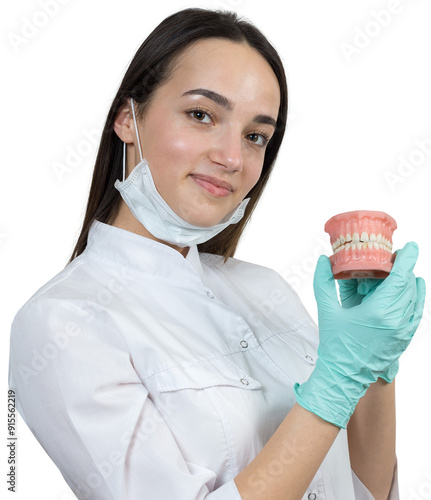 Girl doctor dentist in a white coat holds a mock of teeth.