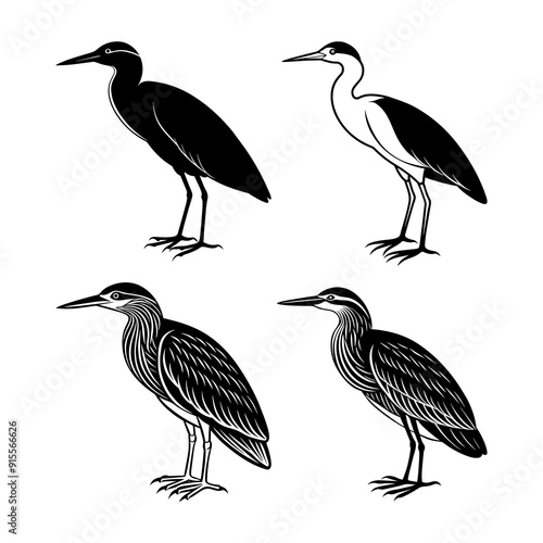 set of heron bird illustration