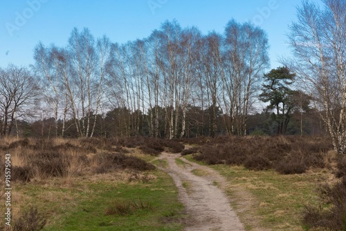 Obraz na płótnie Hoge Veluwe w salonie