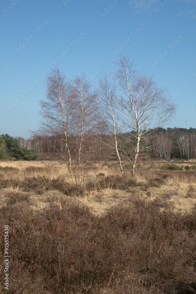 Hoge Veluwe