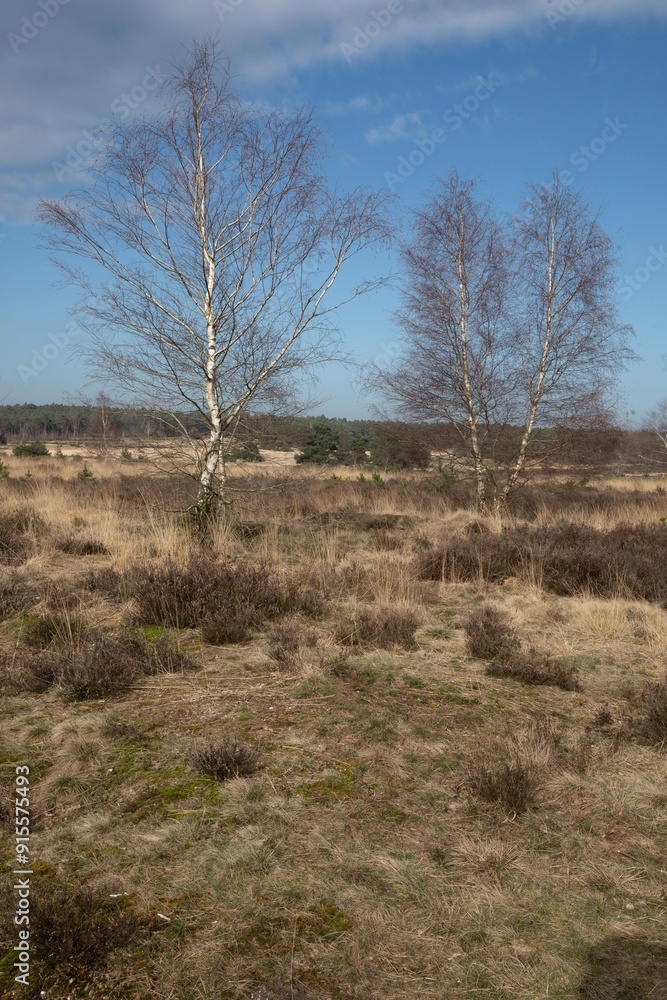 Hoge Veluwe