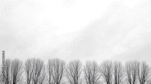 A minimalist black-and-white image of a tree line, with the bare branches creating intricate patterns against a cloudy sky.