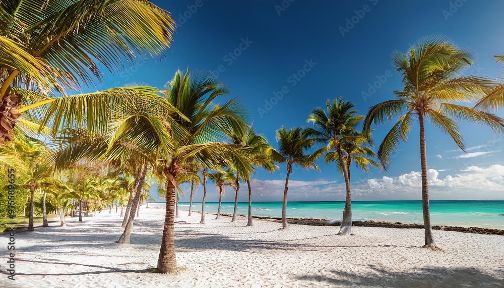 palm trees on the beach palm trees on the beach