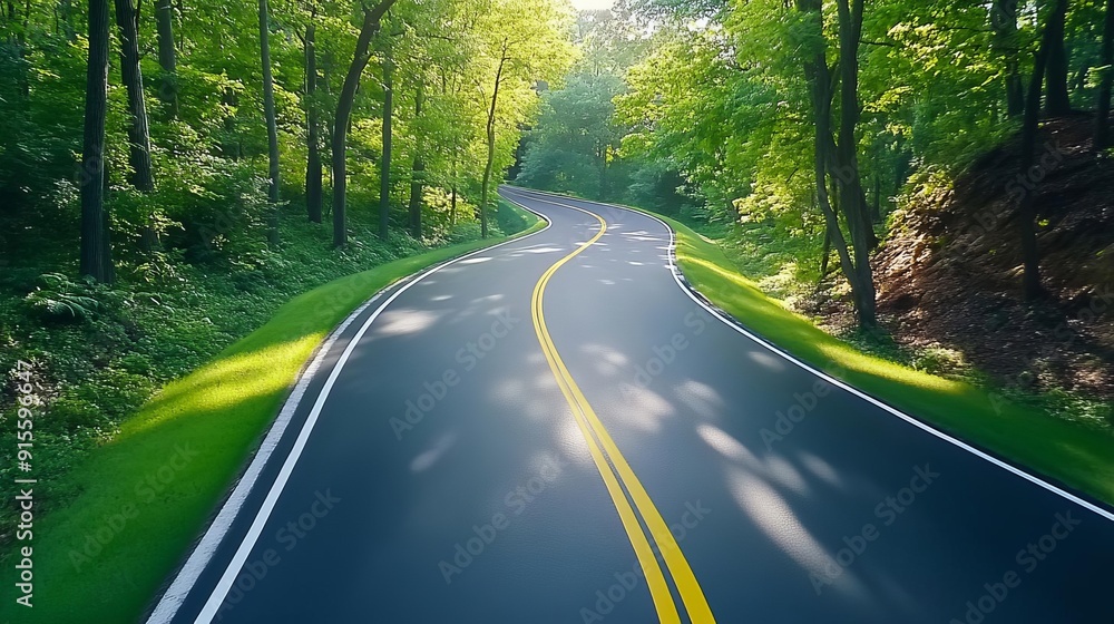 Fototapeta premium Sunlit forest scenic drive with lush green trees, summer, refreshing outdoor escape