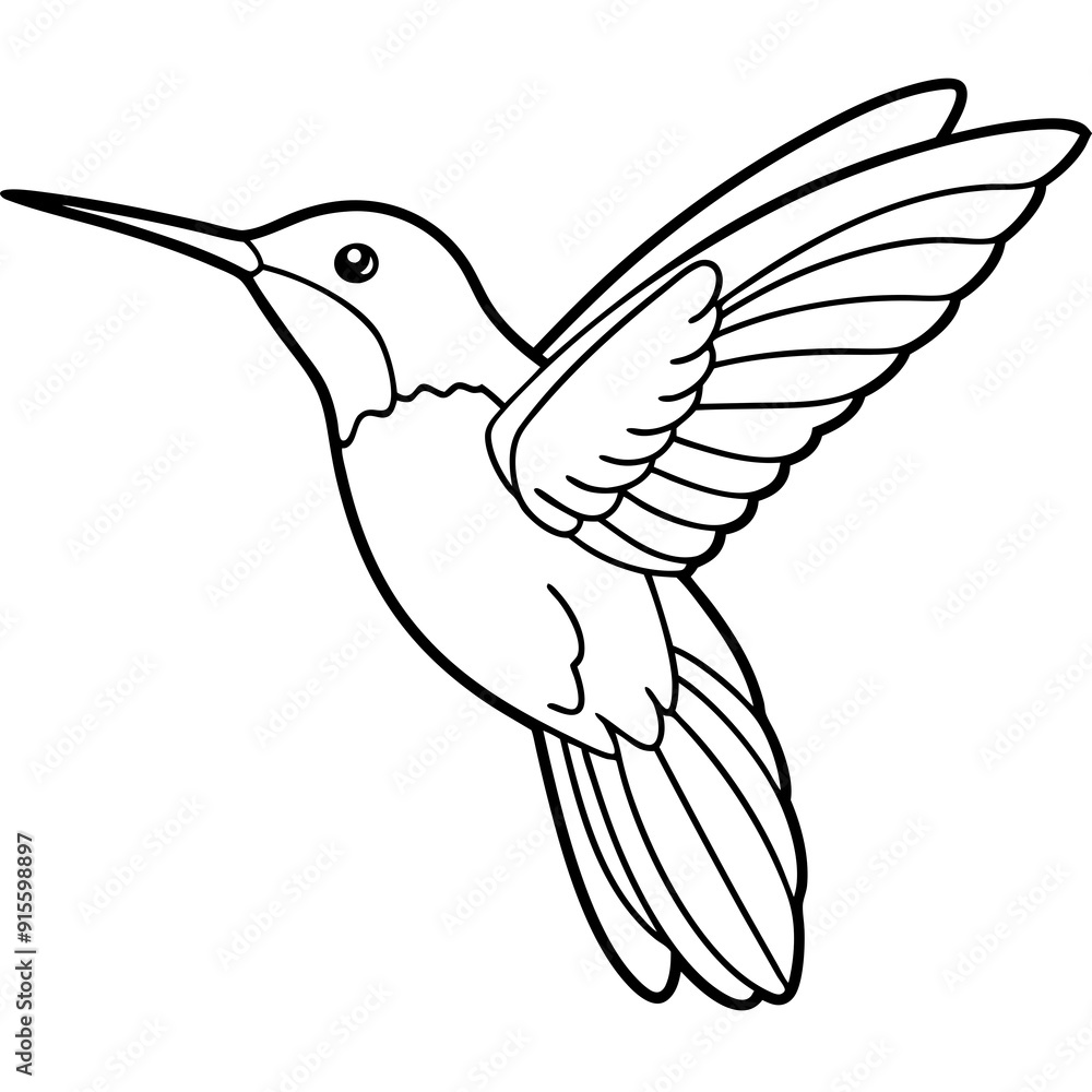 Obraz premium Hummingbird isolated on white, hummingbird vector illustration, bird on a branch vector art, hummingbird silhouette, bird vector icon, hummingbird on a branch line art, eps, hummingbird on a branch ca
