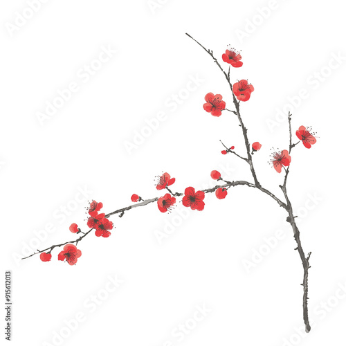 Watercolor Painting of Red Cherry Blossom Branch with Buds and Flowers