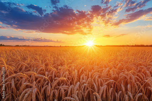 Witness the mesmerizing sunset over a golden wheat field, where the glowing sun paints the sky in vibrant hues, captivating and tranquil. photo