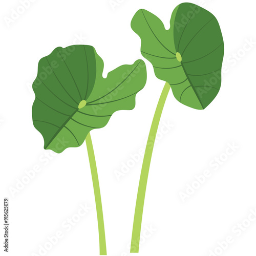 Green Lotus Leaves Illustration 