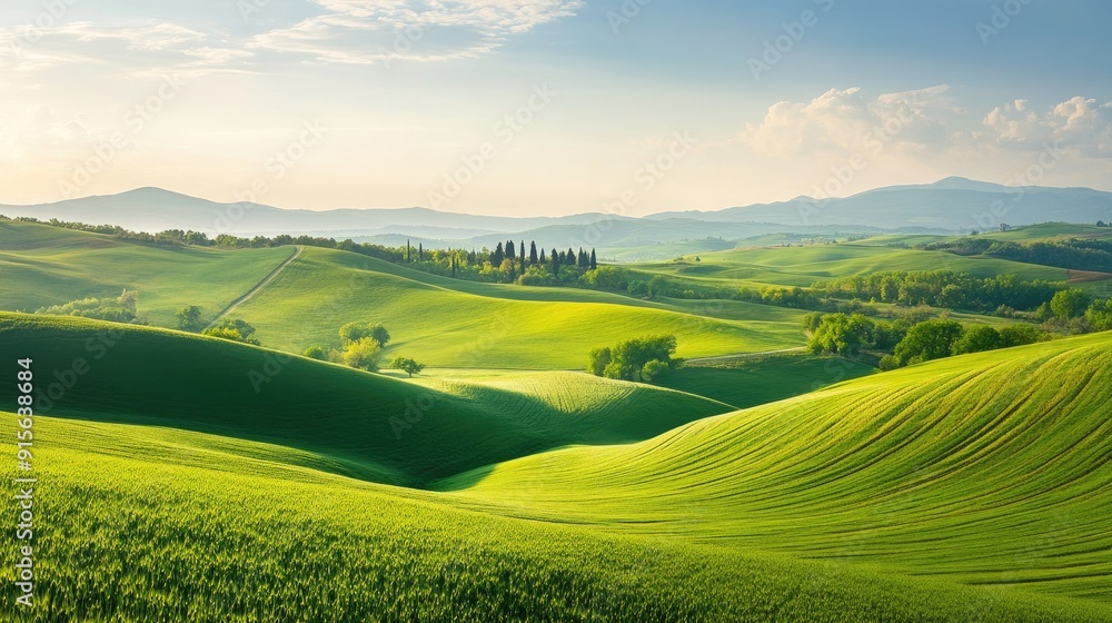 Tranquil countryside view with gentle hills, a clear horizon, and vibrant green fields Tranquil countryside view with gentle hills, a clear horizon, and vibrant green fields