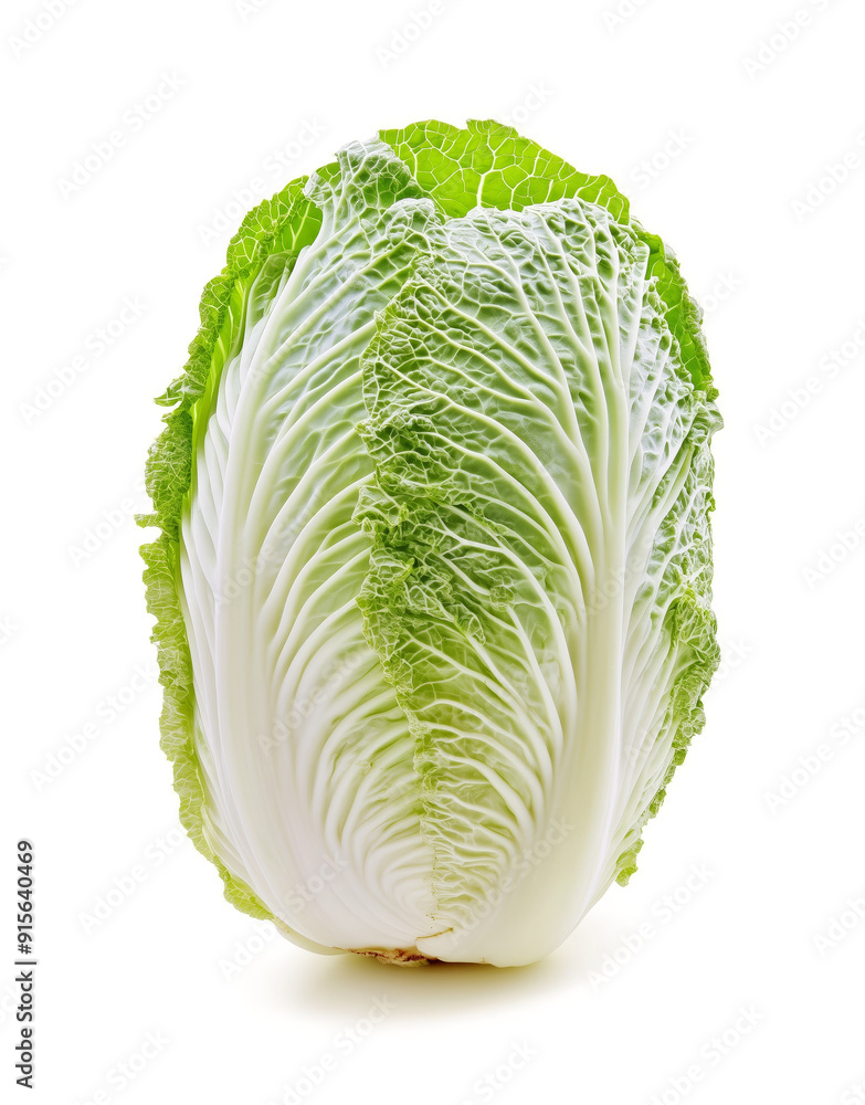 Fototapeta premium Chinese cabbage isolated on white background