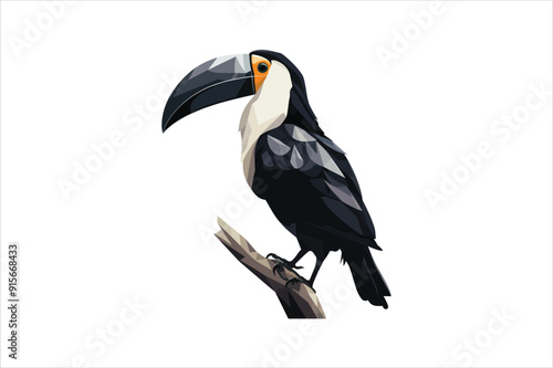 toucans characters in cartoon style. illustration.  Vector toucan bird illustration. 