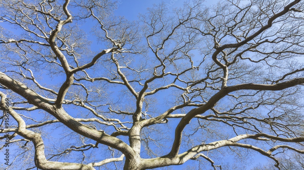 Beautiful tree branches with a small bird against a blue sky in spring Beautiful tree branches with a small bird against a blue sky in spring