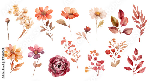 Set of watercolor vector flowers. autumn dark flowers, brown and yellow flowers and leaves on transparent background. Separate floral elements. watercolor dried flowers vector