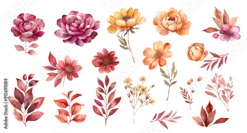 Set of watercolor vector flowers. autumn dark flowers, brown and yellow flowers and leaves on transparent background. Separate floral elements. watercolor dried flowers vector