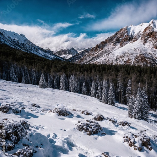 Explora Paisajes Invernales Únicos en Alta Resolución