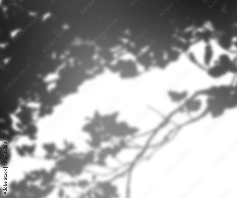 shadow shadow