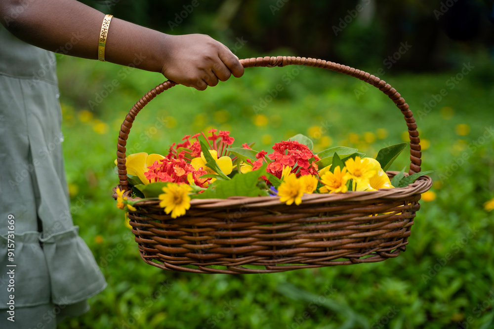 Girl holding flower basket, Onam festival celebration image Girl holding flower basket, Onam festival celebration image