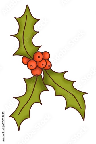A Christmas holly plant, decorative is a illustration, hand-drawn with watercolor brushes, with outline on a white background. For postcards, greetings, stickers and others DIY.